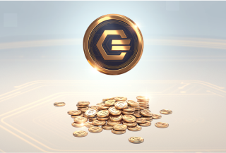 Overwatch-500 COINS